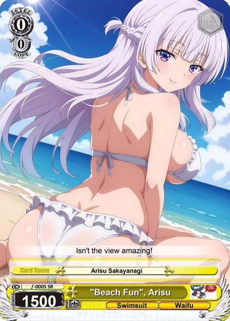 Beach Fun / Beach Day- Season 3